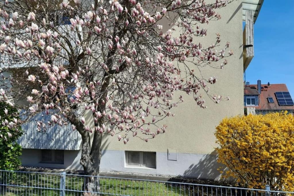 Beckhomes Bb- Gemuetliche, Neue Wohnung Bischberg 외부 사진